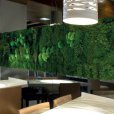 Greenarea, plant decoration from Spain, vertical gardens, design objects